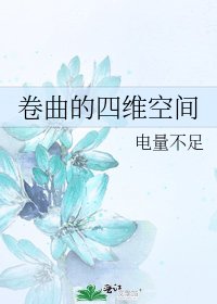 《捲曲的四維空間》