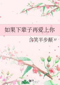《如果下輩子再愛上你》