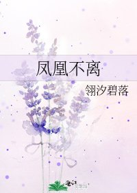 《凤凰不离》