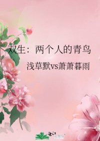 《双生:两个人的青鸟》