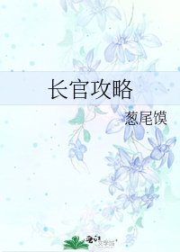 《长官攻略》