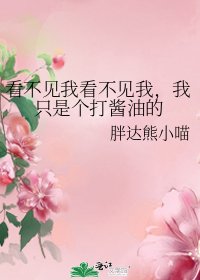 看不见我看不见我,我只是个打酱油的