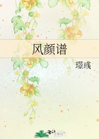 《风颜谱》