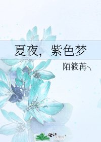《夏夜,紫色梦》