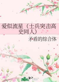 《爱似流星(士兵突击高史同人)》