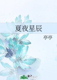 《夏夜星辰》