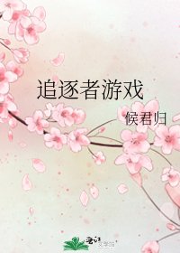 《追逐者遊戲》