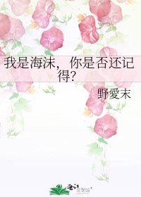 《我是海沫,你是否還記得?》