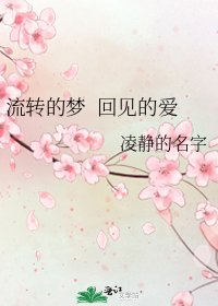 《流转的梦 回见的爱》