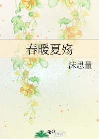 《春暖夏殤》