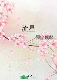 《流星》
