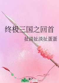 《终极三国之回首》