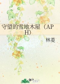 《守望的雪地木屋(APH)》