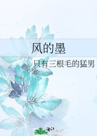 《风的墨》