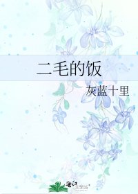《二毛的饭》