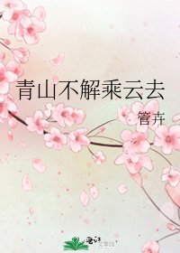 《青山不解乘雲去》