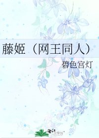 《藤姬(网王同人)》