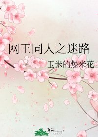 《網王同人之迷路》