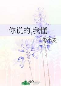 你說的,我懂