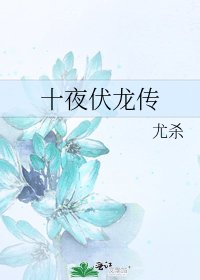 《十夜伏龍傳》