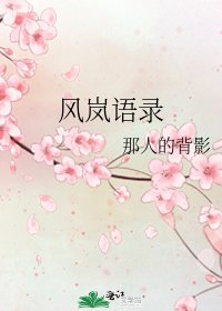 《风岚语录》