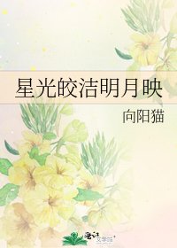 《星光皎洁明月映》