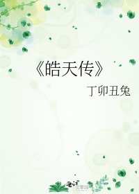 《皓天传》