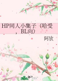 HP同人小集子（哈受，BL向）