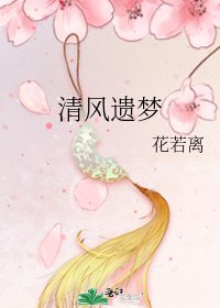 《清风遗梦》