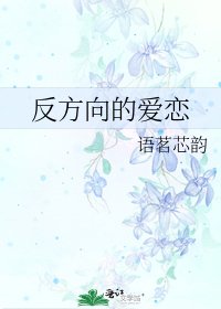 《反方向的愛戀》
