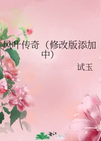 《风叶传奇(修改版添加中)》
