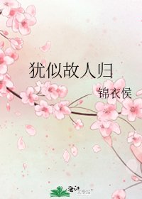 《犹似故人归》