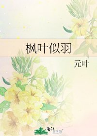 枫叶似羽