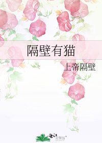 《隔壁有猫》