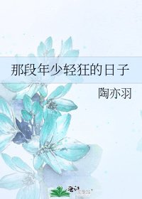 《那段年少輕狂的日子》