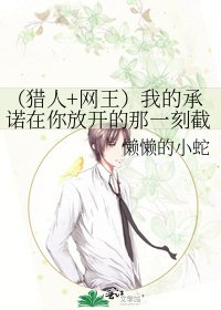 《(猎人+网王)我的承诺在你放开的那一刻截至》