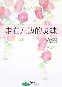 《走在左边的灵魂》