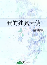 我的独翼天使