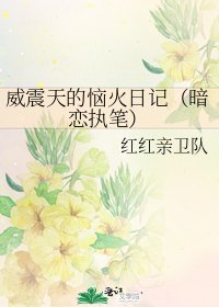 《威震天的惱火日記(暗戀執筆)》