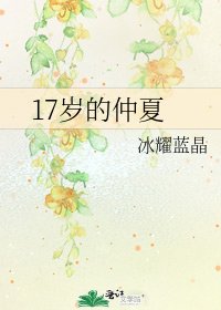 17岁的仲夏