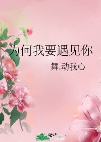 《为何我要遇见你》