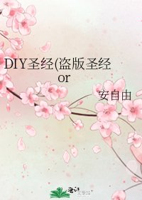 《DIY圣经(盗版圣经or》