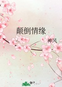 《颠倒情缘》