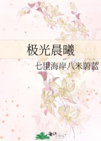 《极光晨曦》