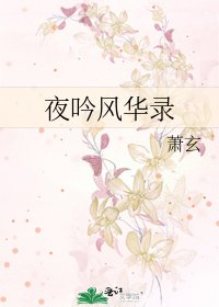 《夜吟风华录》
