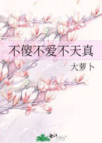 《不傻不爱不天真》