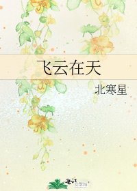 《飞云在天》
