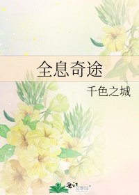 《全息奇途》