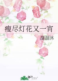 《瘦尽灯花又一宵》