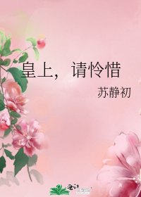 《皇上,请怜惜》
